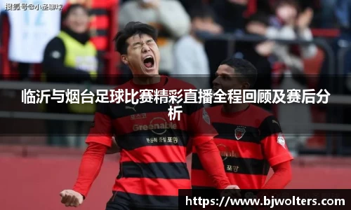 临沂与烟台足球比赛精彩直播全程回顾及赛后分析
